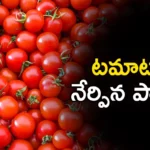 Central Govt Imposes 40% Duty on Onion Exports Amid Rise in Domestic Prices,Central Govt Imposes 40% Duty,40% Duty on Onion Exports,Amid Rise in Domestic Prices,Govt Imposes 40% Duty on Onion,Mango News,Mango News Telugu,Maharashtra, onion market, the onion crop has been damaged, a kg of onion is 50 rupees, price may increase further in the future, control onion prices,Central Govt Onion Exports,Onion Exports Latest News,Onion Exports Latest Updates,Onion Exports Live News,Central Govt Latest News