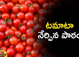 Central Govt Imposes 40% Duty on Onion Exports Amid Rise in Domestic Prices,Central Govt Imposes 40% Duty,40% Duty on Onion Exports,Amid Rise in Domestic Prices,Govt Imposes 40% Duty on Onion,Mango News,Mango News Telugu,Maharashtra, onion market, the onion crop has been damaged, a kg of onion is 50 rupees, price may increase further in the future, control onion prices,Central Govt Onion Exports,Onion Exports Latest News,Onion Exports Latest Updates,Onion Exports Live News,Central Govt Latest News