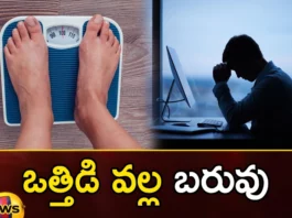 Do You Know How Stress Can Lead To Weight Gain And How To Fight It,Do You Know How Stress Can Lead,Stress Can Lead To Weight Gain,How To Fight It,How Stress Can Lead,Mango News,Mango News Telugu,Are You Gaining Weight, Check If It Is Due To Stress, Stress Relief, Tensions, Yoga, Walking,Regular Exercise, Healthy Food Choices,Stress And Weight Gain,Ways Stress Makes You Gain Weight,How Stress Can Lead News Today,How Stress Can Lead Latest News,How Stress Can Lead Latest Updates
