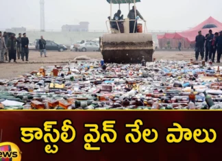 sensational decision, French government, Rs. 17 hundred crores of liquor, destruction , Crafted beer,Wine