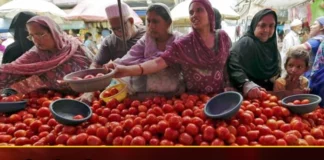 Good News For The Consumers Tomato Prices Slowly Drops After All Time High In India,Good News For The Consumers,Tomato Prices Slowly Drops,Tomato Prices After All Time High,Tomato Prices After All Time High In India,Mango News,Mango News Telugu,Good News For The Tomato Consumers,The Price Of Tomatoes Is Dropping, The Price Of Tomatoes,Tomatoes Price,Farmers Cultivate Tomato Crop, Tomato Farmers,Tomato Prices Latest News,Tomato Prices Latest Updates,Tomato Prices Live News