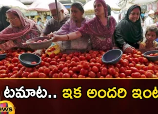 Good News For The Consumers Tomato Prices Slowly Drops After All Time High In India,Good News For The Consumers,Tomato Prices Slowly Drops,Tomato Prices After All Time High,Tomato Prices After All Time High In India,Mango News,Mango News Telugu,Good News For The Tomato Consumers,The Price Of Tomatoes Is Dropping, The Price Of Tomatoes,Tomatoes Price,Farmers Cultivate Tomato Crop, Tomato Farmers,Tomato Prices Latest News,Tomato Prices Latest Updates,Tomato Prices Live News