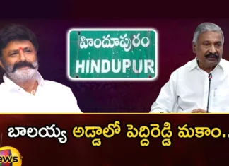 Minister Peddireddy Ramachandra Reddy Directs YCP Cadre For The Victory at Hindupur in Next Elections,Minister Peddireddy Ramachandra Reddy,YCP Cadre For The Victory at Hindupur,Hindupur in Next Elections,Mango News,Mango News Telugu,Peddireddy, Balayya Adda,YCP, YCPs new strategy, Hindupuram,Balakrishna,Minister Peddireddy Latest News,Minister Peddireddy Latest Updates,Hindupur in Next Elections News,Hindupur Live Updates