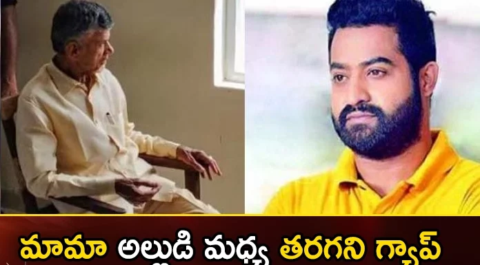 Chandrababu went to jail but no response from Tarak,Chandrababu went to jail,no response from Tarak,Chandrababu jail response,Mango News,Mango News Telugu,NTR-Tarak For Not Reacted On Nara Chandrababu,Chandrababu Naidu To Stay In Jail,Jr NTR on Babu's arrest,CBN Arrest,Balakrishna,Chandrababu went to jail,no response from Tarak,Chandrababu Naidu Arrest,NTR,Tarak,Jr NTR Fans Divided Into Three Sections,Chandrababu Naidu Arrest News Live Updates,Chandrababu Latest News,Chandrababu Arrest Live Updates
