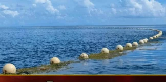 China Is Building Fences On The Sea,China Is Building Fences,Building Fences On The Sea,Fences On The Sea,Mango News,Mango News Telugu,China, Philippines,Bajo De Massinloc,Fishermen Of The Philippines,Shanghai Officials Put Up Fences,Mystery Fences Spring Up Blocking,China Latest News,China Latest Updates,China Live News,China Building Fences News Today,Shanghai Officials Latest News