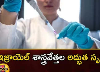 Israeli Scientists Create Model of Human Embryo Without Sperm or Eggs,Israeli Scientists Create Model,Model of Human Embryo,Human Embryo Without Sperm or Eggs,Israeli Scientists,Mango News,Mango News Telugu,A stem cell, an embryo, Israeli scientists, created an embryo, without sperm, egg, sperm, woman's womb, laboratory Mr,Israeli Scientists Latest News,Israeli Scientists Latest Updates,Israeli Scientists Live News,Israeli Scientists Live Updates