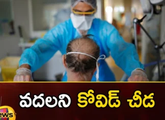 Lungs Brain And Kidneys Are Damaged In Corona Victims,Lungs Brain And Kidneys Are Damaged,Damage In Corona Victims,Lungs Are Damaged In Corona,Mango News,Mango News Telugu,Lungs, Brain, Kidneys Are Damaged In Corona Victims, Corona,Effect Of Covid 19 On The Organs,Covid-19 Pathology In The Lung,Covid-19 Long Term Effects,Covid-19 Can Damage The Brain,Corona Victims Latest News,Corona Victims Latest Updates,Corona Victims Live News