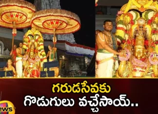 The specialty of Chennai umbrellas in Tirumala Brahmotsavam,The specialty of Chennai umbrellas,umbrellas in Tirumala Brahmotsavam,Chennai umbrellas in Tirumala Brahmotsavam,Mango news,Mango News Telugu,brahmotsavam,Tirumala,brahmotsavam,garudaseva,Umbrellas come for Garudaseva, The specialty of Chennai umbrellas ,Brahmotsavam umbrellas,Chennai umbrellas in Tirumala News Today,Chennai umbrellas in Tirumala Latest News,Chennai umbrellas in Tirumala Latest Updates,Tirumala Brahmotsavam Latest News,Tirumala Brahmotsavam Latest Updates
