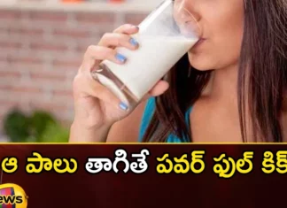 Drinking Two Sips Of Elephant Milk Is More Intoxicating Than Alcohol,Drinking Two Sips Of Elephant Milk,More Intoxicating Than Alcohol,Elephant Milk Is More Intoxicating,Mango News,Mango News Telugu,Drinking That Milk, Powerful Kick,Elephant Milk, Alcohol, Elephant Milk Intoxicating Than Alcohol,Elephant Milk Latest News,Elephant Milk Latest Updates,Elephant Milk Live News