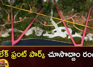 The Lakefront Park Has Been Buzzing With Visitors Since Sunday,The Lakefront Park Has Been Buzzing,Buzzing With Visitors Since Sunday,The Lakefront Park With Visitors,Mango News,Mango News Telugu,The Lakefront Park, Lakefront Park Visitors, Lakefront Park Open Daily From 5 Am To 11 Pm, Stalls And Food Courts,Walkers Card By Paying Rs 100,Walkers Card,The Lakefront Park Latest News,The Lakefront Park Latest Updates,The Lakefront Park Live News
