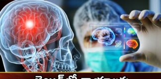 3D treatment for brain injuries,3D treatment for brain,brain injuries,treatment for brain,Mango News,Mango News Telugu,3D treatment,3D treatment for brain,brain injuries,brain, brain treatment, Cerebral cortex, Outer layer of the brain, TBI, tissue,3D treatment for brain Latest News,3D treatment for brain Latest Updates,3D treatment for brain Live News,brain treatment Latest Update