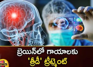 3D treatment for brain injuries,3D treatment for brain,brain injuries,treatment for brain,Mango News,Mango News Telugu,3D treatment,3D treatment for brain,brain injuries,brain, brain treatment, Cerebral cortex, Outer layer of the brain, TBI, tissue,3D treatment for brain Latest News,3D treatment for brain Latest Updates,3D treatment for brain Live News,brain treatment Latest Update