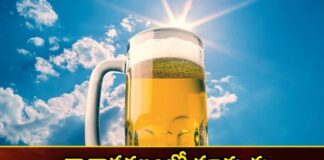 Climate change on the taste of beer what does the latest research say,Climate change on the taste of beer,what does the latest research say,taste of beer,Mango News,Mango News Telugu,beer, bitter taste to beer, climate change, flower in Europe,Attention Beer Lovers, Climate change could soon affect, Hop flowers, journal Nature Communications,Climate change on beer Latest News,Climate change on beer Latest Update