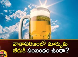 Climate change on the taste of beer what does the latest research say,Climate change on the taste of beer,what does the latest research say,taste of beer,Mango News,Mango News Telugu,beer, bitter taste to beer, climate change, flower in Europe,Attention Beer Lovers, Climate change could soon affect, Hop flowers, journal Nature Communications,Climate change on beer Latest News,Climate change on beer Latest Update