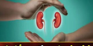 Do these things to keep the kidneys healthy,keep the kidneys healthy,Do these things to kidneys,Mango News,Mango News Telugu,Ayurveda Tips for Kidney ,kidneys healthy,kidneys,Kidneys act as filters, body,Preventing Chronic Kidney Disease,Kidneys remove harmful substances, urine,Ayurveda Tips for Kidney Latest News,Ayurveda Tips for Kidney Latest Update,kidneys health Latest News,kidneys health Latest Updates,Ayurveda Tips Latest News