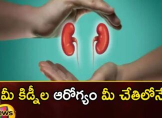 Do these things to keep the kidneys healthy,keep the kidneys healthy,Do these things to kidneys,Mango News,Mango News Telugu,Ayurveda Tips for Kidney ,kidneys healthy,kidneys,Kidneys act as filters, body,Preventing Chronic Kidney Disease,Kidneys remove harmful substances, urine,Ayurveda Tips for Kidney Latest News,Ayurveda Tips for Kidney Latest Update,kidneys health Latest News,kidneys health Latest Updates,Ayurveda Tips Latest News