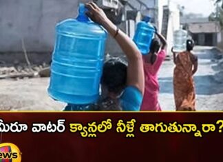 Do you drink water from water cans,Do you drink water,water from water cans,Mango News,Mango News Telugu,Mineral water in tins, drink water from water cans, water cans, good water, diseases, Degradation,Greenhouse,Are packaged drinking water cans safe,Stop Drinking Bottled Water,Canned water can give you cancer,Mineral water in tins Latest News,Mineral water in tins Latest Updates,Mineral water in tins Live News,Water cans Latest News,Water cans Latest Updates