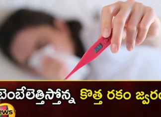 If these symptoms appear during the fever treatment should be taken immediately,If these symptoms appear during the fever,treatment should be taken immediately,symptoms appear during the fever,Mango News,Mango News Telugu,High Temperature Causes and Treatments,dengue, fever, immediately treatment, Malaria, new type of fever, seasonal fevers, Symptoms, treatment,New type of fever Latest News,seasonal fevers Latest News