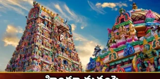 Will There Be More Hindus in Those Countries by 2050,Will There Be More Hindus,Those Countries by 2050,More Hindus in Those Countries,Mango News,Mango News Telugu,Hindu Population Worldwide,Hinduism by Country,Hinduism on the Rise,More Hindus, Countries,in America, Indonesia, Sri Lanka, Malaysia, Britain, Canada,Hinduism Latest News,Hinduism Latest Updates,Hinduism Live News