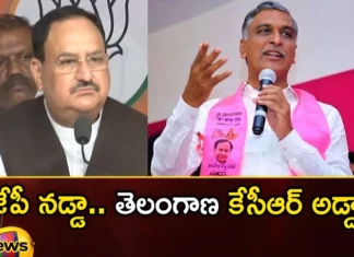 Minister Harish rao Sensational Comments on JP Nadda,Minister Harish rao Sensational Comments,Sensational Comments on JP Nadda,Harish rao Sensational Comments,Mango News,Mango News Telugu,bjp,BRS,BRS vs BJP,JP Nadda,Minister Harish Rao,telangana,Telangana Assembly Elections,Minister Harish rao Latest News,Minister Harish rao Latest Updates,Minister Harish rao Live News, JP Nadda News Today,JP Nadda Latest News