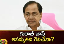 Will the pink boss win the disagreement,Will the pink boss win,pink boss win the disagreement,Mango News,Mango News Telugu,BRS, CM KCR, KTR, telangana, Telangana Assembly Elections, Telangana Politics,Telangna BJP Party,Telangana Latest News And Updates,TS Assembly Elections 2023,CM KCR News And Live Updates,Telangana Politics, Telangana Political News And Updates,Hyderabad News