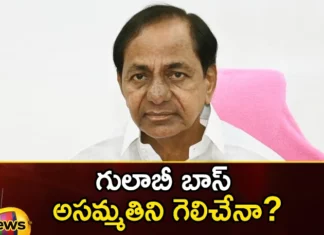 Will the pink boss win the disagreement,Will the pink boss win,pink boss win the disagreement,Mango News,Mango News Telugu,BRS, CM KCR, KTR, telangana, Telangana Assembly Elections, Telangana Politics,Telangna BJP Party,Telangana Latest News And Updates,TS Assembly Elections 2023,CM KCR News And Live Updates,Telangana Politics, Telangana Political News And Updates,Hyderabad News