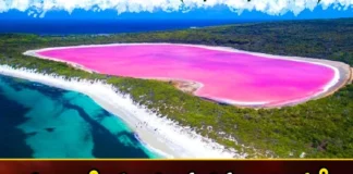 Pink lake