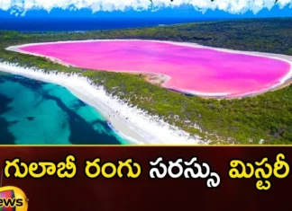 Pink lake