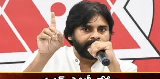 Pawankalyan, ap, janasena, ap assembly elections, naga babu, megaster chiranjeevi