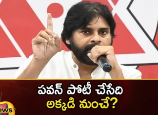 Pawankalyan, ap, janasena, ap assembly elections, naga babu, megaster chiranjeevi