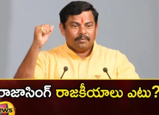 Where is Rajasinghs politics,Rajasinghs politics,Where is Rajasingh,Mango News,Mango News Telugu,Rajasingh, bjp, mla raja singh, telangana politics, goshamahal,Raja Singh to be BJP candidate,Telangana polls,BJP likely to recall MLA Raja Singh,Rajasinghs politics Latest News,Rajasinghs politics Latest Updates,Rajasingh Latest News,Rajasingh Latest Updates,Telangana Latest News And Updates,Telangana Politics, Telangana Political News And Updates