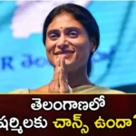 Does Sharmila have a chance in Telangana,Does Sharmila have a chance,Sharmila in Telangana,Mango News,Mango News Telugu,ys sharmila, ysrtp, ysrtp chief sharmila, telangana politics, telangana assembly elections,Sharmila may go it alone in Telangana elections,YS Sharmilas new party in Telangana,Is it end of the road in politics,No truck with Congress,ys sharmila Latest News,ys sharmila Latest Updates,telangana assembly elections Latest News,telangana assembly elections Latest Updates
