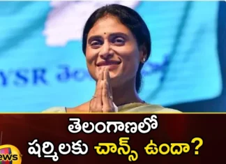 Does Sharmila have a chance in Telangana,Does Sharmila have a chance,Sharmila in Telangana,Mango News,Mango News Telugu,ys sharmila, ysrtp, ysrtp chief sharmila, telangana politics, telangana assembly elections,Sharmila may go it alone in Telangana elections,YS Sharmilas new party in Telangana,Is it end of the road in politics,No truck with Congress,ys sharmila Latest News,ys sharmila Latest Updates,telangana assembly elections Latest News,telangana assembly elections Latest Updates