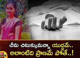 If an ant stings its a war,If an ant stings,ant stings its a war,Mango News,Mango News Telugu,group2, pravalika suicide, Telanagana, telanagana assembly elections, TSPSC,telanagana assembly elections Latest News,telanagana assembly elections Latest Updates,telanagana assembly elections Live News,telanagana assembly elections Live Updates,pravalika News,pravalika Latest News,Group 2 Latest News,Group 2 Latest Updates,Group 2 Live News