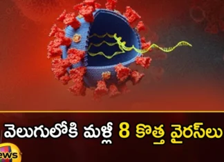 Once again the China is terrorizing the world,Once again the China is terrorizing,China is terrorizing the world,Mango News,Mango News Telugu,China,8 new viruses, dragon country, terrorizing the world, Some Chinese scientists, viruses in Hainan,Remarks by President Biden,Chinas long game in West Asia,China Map Brandishing Territorial Stance,China is terrorizing Latest News,China is terrorizing Latest Updates