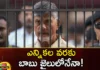 Babu in jail until the election,Babu in jail,Babu until the election,Chandrababu naidu, chandrababu arrest, skill development scam, ap politics, ap assembly elections,Mango News,Mango News Telugu,Chandrababu Naidu to stay in Jail,AP CM YS Jagan Mohan Reddy,TDP Chief Chandrababu Naidu,Janasena Chief Pawan Kalyan,Andhra Pradesh Latest News,Andhra Pradesh News,Andhra Pradesh News and Live Updates