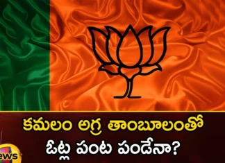 Can the lotus harvest the votes with agra tambulum,Can the lotus harvest the votes,harvest the votes with agra tambulum,votes with agra tambulum,Mango News,Mango News Telugu,BJP, Telangana assembly elections, Kishan reddy, Bandi sanjay, PM Modi, JP Nadda, Amit Shah,Agra tambulum Latest News,Agra tambulum Latest Updates,Agra tambulum Live News,Telangana assembly elections Latest News,Telangana assembly elections Latest Updates