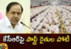 KCR is another shock 100 poultry farmers in the ring,KCR is another shock,100 poultry farmers in the ring,poultry farmers,Mango News,Mango News Telugu,telangana assembly elections, cm kcr, brs, kamareddy, poultry farmers,poultry farmers Latest News,poultry farmers Latest Updates,Telangana assembly elections Latest News,Telangana assembly elections Latest Updates,KCR Latest News,KCR Latest Updates,Telangana Political News And Updates