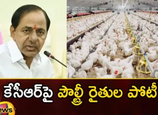 KCR is another shock 100 poultry farmers in the ring,KCR is another shock,100 poultry farmers in the ring,poultry farmers,Mango News,Mango News Telugu,telangana assembly elections, cm kcr, brs, kamareddy, poultry farmers,poultry farmers Latest News,poultry farmers Latest Updates,Telangana assembly elections Latest News,Telangana assembly elections Latest Updates,KCR Latest News,KCR Latest Updates,Telangana Political News And Updates