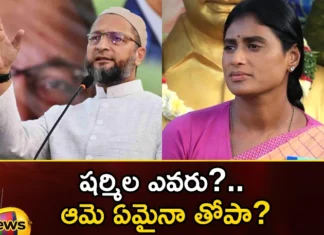 who is sharmila saya asaduddin,who is sharmila,asaduddin,ys sharmila, ysrtp, mim, telangana assembly elections, telangana politics,YSRTP Cheief YS Sharmila,Mango News,Mango News Telugu,Telangana Election Latest Updates,Telangana Latest News And Updates, Telangana Political News And Updates,ys sharmila Latest News,Asaduddins Latest News,Asaduddins Latest Updates