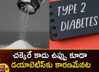 Salt causes not only BP but also diabetes,Salt causes not only BP,Salt causes diabetes,Salt and diabetes,Salt and hypertension in diabetes,Blood pressure,Insulin production,sugar, salt,Mango News,Mango News Telugu, diabetes, Salt causes not only BP, Salt causes also diabetes,Salt and diabetes Latest News,Salt and Diabetes Latest Updates,Diabetes Latest News,Diabetes Latest Updates
