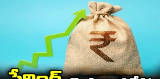 Economic Survey Shared The Report, Economic Survey, Economic Survey Report, Savings,The Savings, Economic Survey Report, Investments In Gold, Real Estate Sectors,Banks, Stock Market, Mutual Funds, Economic Report, Latest Economic Report Updates, Mango News, Mango News Telugu