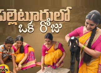 One Day In The Village The Anchor Is Brunette, One Day In The Village, Anchor One Day In The Village, Anchor In The Village, Anchor Shyamala, Chyamala Vlogs, Anchor, Shyamala Youtube channel, Latest Anchor In The Village, Anchor In The Village News, Latest Anchor Shyamala News, Shyamala, Mango News, Mango News Telugu