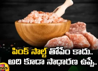 What Are the Differences Between Pink Salt And Table Salt, Differences Between Pink Salt And Table Salt, Pink Salt And Table Salt Differences, Pink Salt And Table Salt, Pink Salt, normal Salt, Rock Salt, Sodium, Pink Salt And Table Salt Differences Health News, Latest Facts About Pink Salt And Table Salt, Health Facts, Health Tips, Health News, Mango News, Mango News Telugu