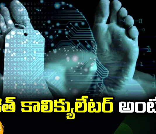 Does This Calculator Predict Mortality Accurately, Predict Mortality Accurately, Calculator Predict Mortality, This Calculator Predict Mortality, Death Calculator,ChatGPT, AI, Technical University Of Denmark, Life2vec, What Is Death Calculator, Calculator Predict Mortality Accurately, Latest AI News, Latest ChatGPT News, Mango News, Mango News Telugu