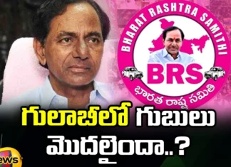 Has the Rose Buds Started,Rose Buds Started,BRS, KCR, KTR, Telangana Politics,Mango News,Mango News Telugu,Rose Buds Started,BRS Party, Telangana Latest News And Updates, Telangana Political News And Updates,Hyderabad News,BRS Latest News,BRS Latest Updates,KCR Latest News,KCR Latest Updates,Revanth Reddy,Telangana government Latest News,Telangana government Latest Updates,Telangana Latest News And Updates