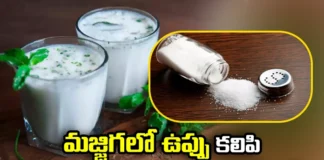 Is Adding Salt to Buttermilk Beneficial Loss,Is Adding Salt to Buttermilk,Buttermilk Beneficial Loss,Buttermilk,Is adding salt to buttermilk beneficial, buttermilk loss, Ayurveda,Mango News,Mango News Telugu,Health Benefits of Buttermilk,Adding salt to curd or buttermilk,Buttermilk Mistakes,Buttermilk Benefits Latest News,Buttermilk Benefits Latest Latest Updates,Health Benefits Latest News,Health Benefits Latest Updates