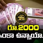 What Did The RBI Say About The Rs 2000 Notes, What Did The RBI Say, RBI Say About The Rs 2000 Notes, Rs 2000 Notes RBI, Rs 2000, RBI, Latest RBI 2000 Notes News, RBI 2000 Notes News, Latest RBI News, RBI News Update, RBI Restrictions, RBI Rule, National Banks, Bank News, Mango News, Mango News Telugu