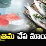 Artificial fish, Artificial fish meat, country, CMFRI, The first project in the country, fish meat,Fish meat production, ICAR-CMFRI, seafood, Cultivated meat, Artificial Meat, Latest Technology Updates, Nation's First 'Lab, Mango News Telugu, Mango News