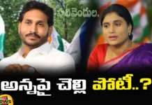 Sharmila Contest from Pulivendula, Sharmila from Pulivendula, Pulivendula Sharmila, Pulivendula, YS Sharmila, YS Jagan, AP Elections, Congress, Latest Sharmila Polictical News, Sharmila Polictical News Updates, Andra Pradesh, AP Polictical News, Assembly Elections, Mango News, Mango News Telugu